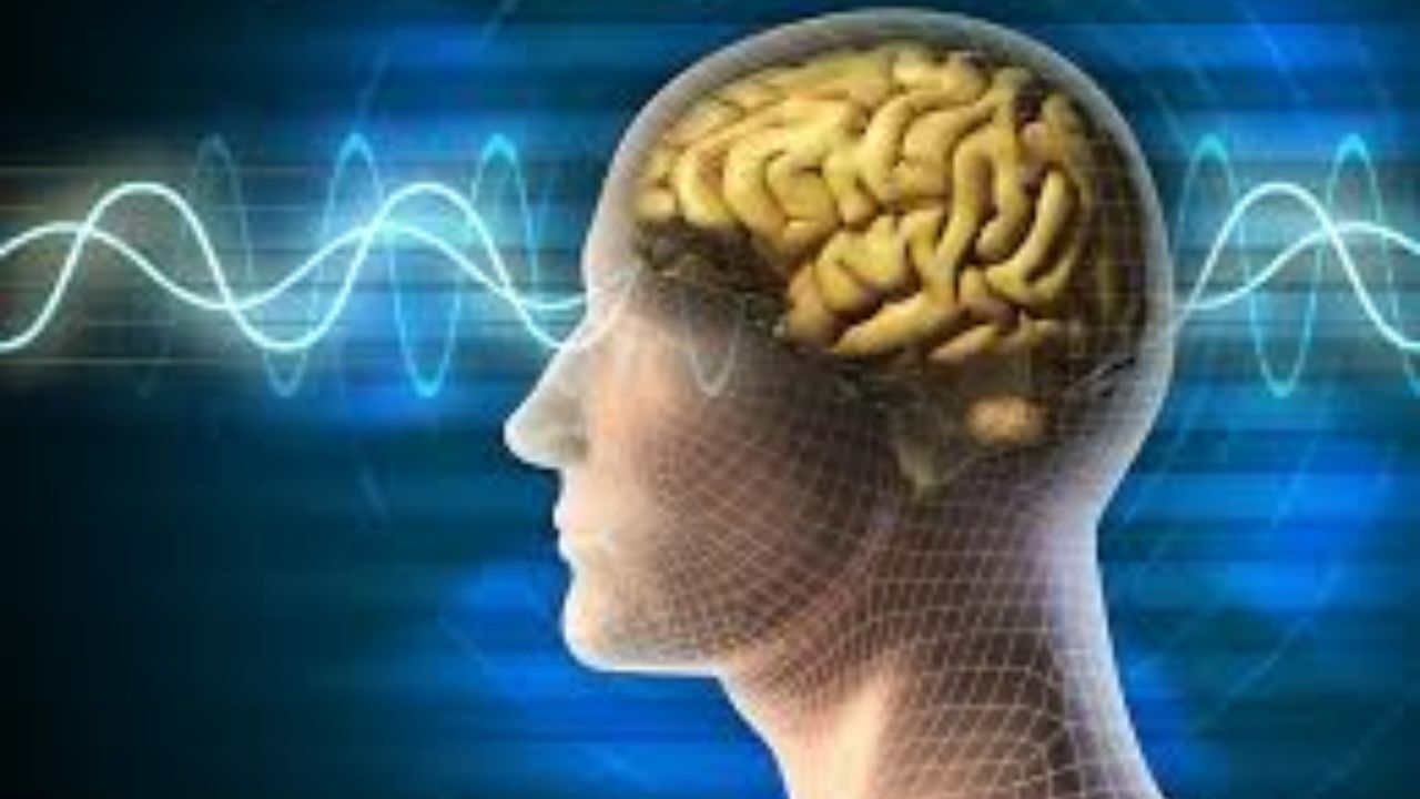 پلیس هر دو سال، پایش سلامت جسمی و روانی می‌شود