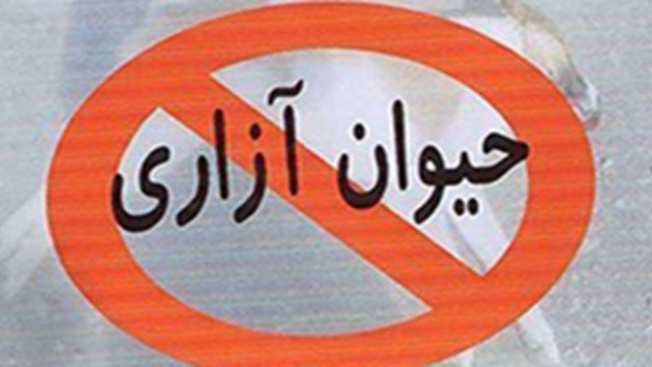 پیگیری لایحه مقابله با حیوان‌آزاری در معاونت حقوقی ریاست جمهوری