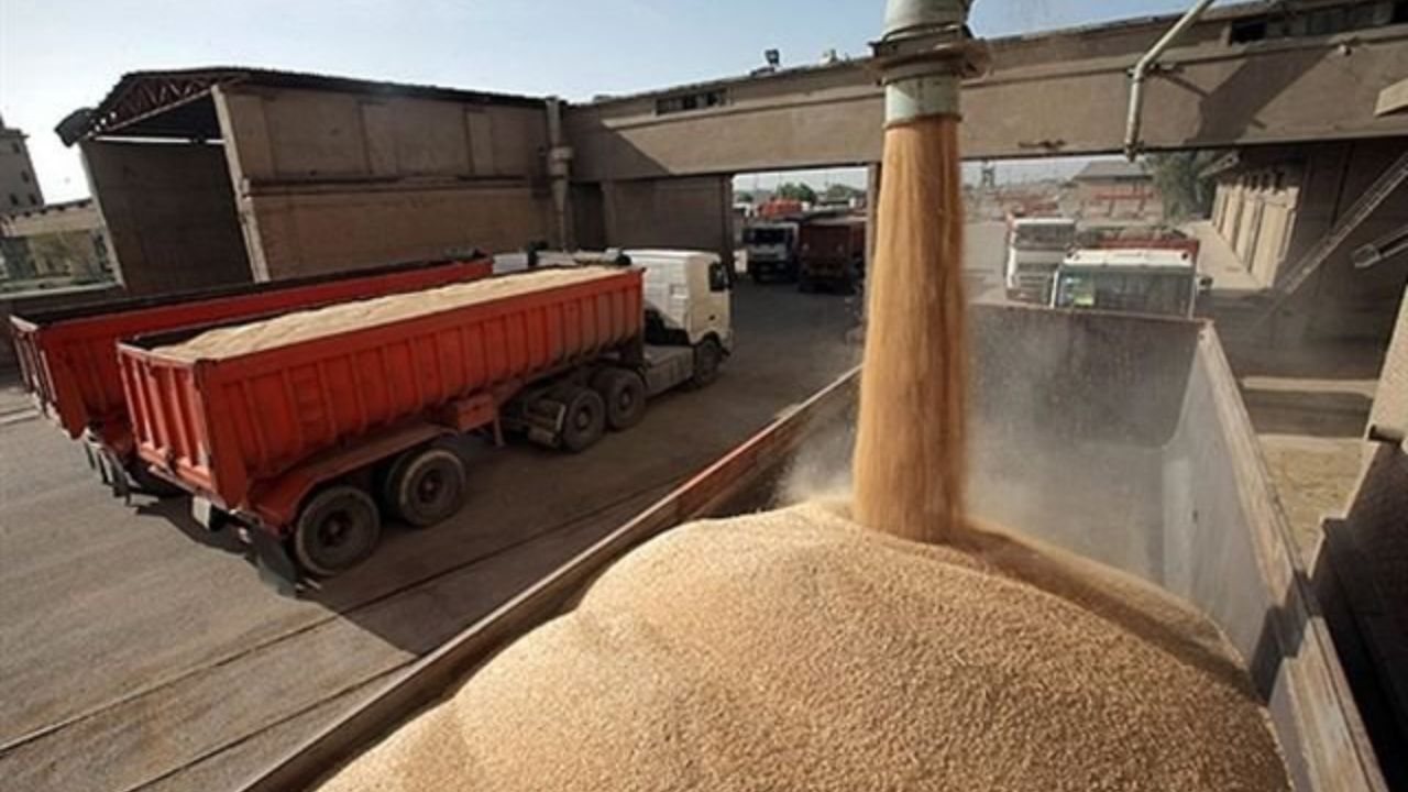 پایداری تولید در گرو افزایش نرخ منطقی گندم است/ قیمت خرید تضمینی گندم، حداقل 3 هزار تومان