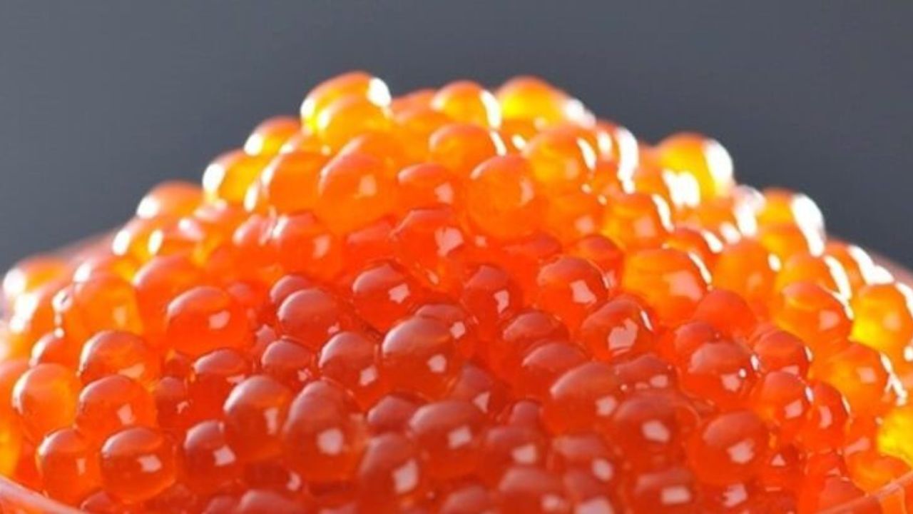 سرنوشت مبهم250 میلیون قطعه تخم چشم زده وارداتی