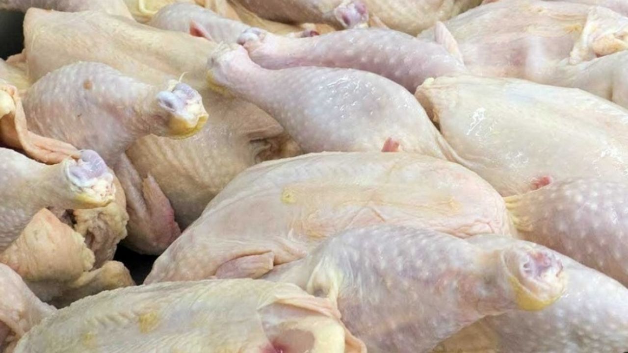 مرغ همچنان ارزان می‌شود
