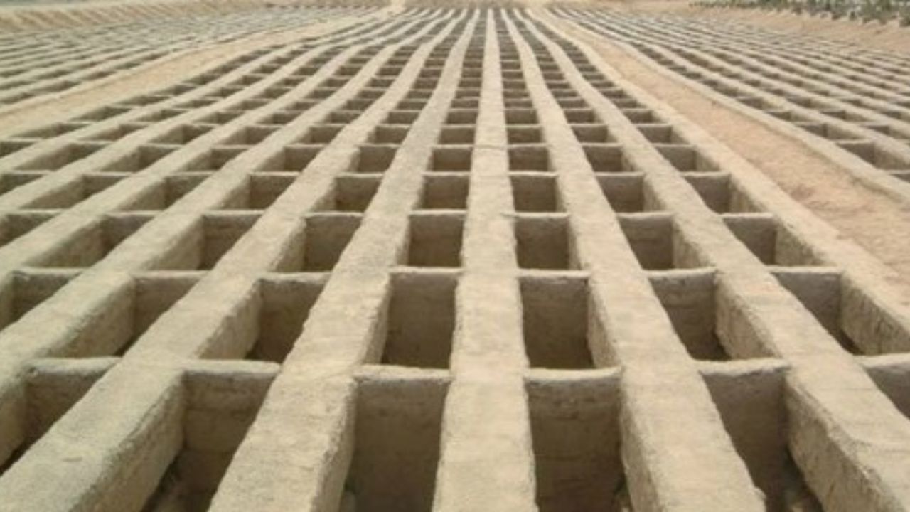 زنده شدن زن روس در مراسم تشییع جنازه‌اش