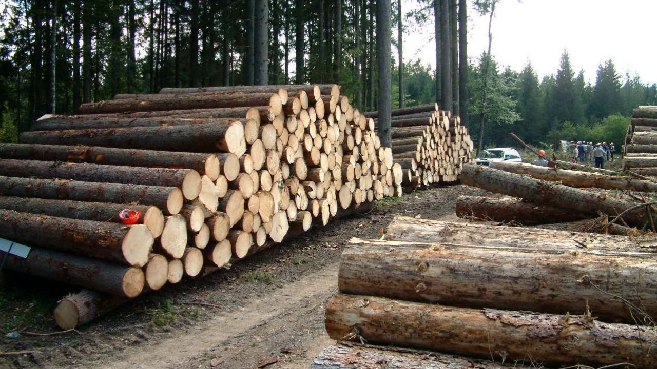 90 درصد چوب‌بری‌ها در خرم‌دره غیرقانونی است
