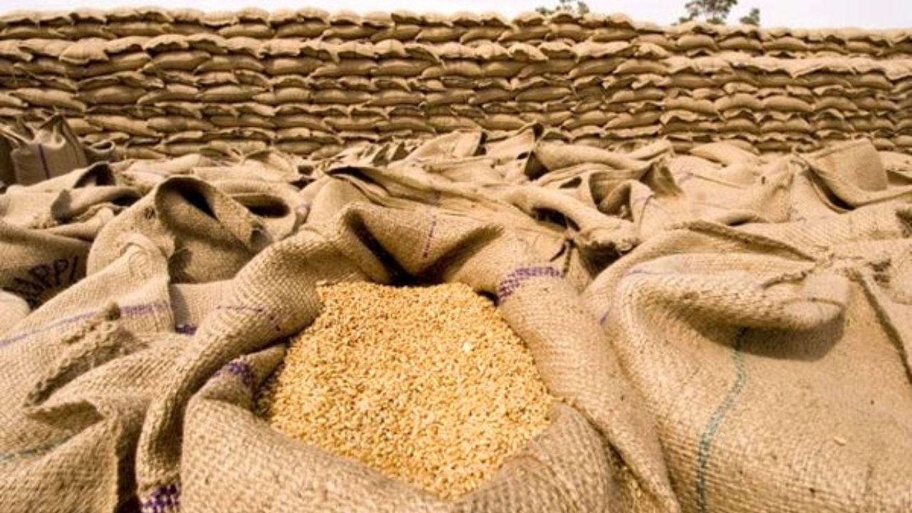 نرخ خرید تضمینی گندم رسما 2200 تومان شد/ قیمت خرید محصولات زراعی