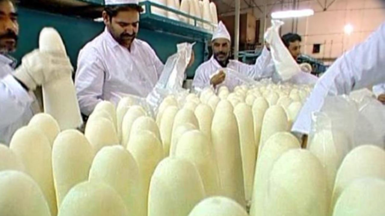 شورای تامین اعتراض کارگران «قندتربت جام» را بررسی کرد/ کارفرما مکلف به پرداخت طلب کارگران، کشاورزان و پیمانکاران شد
