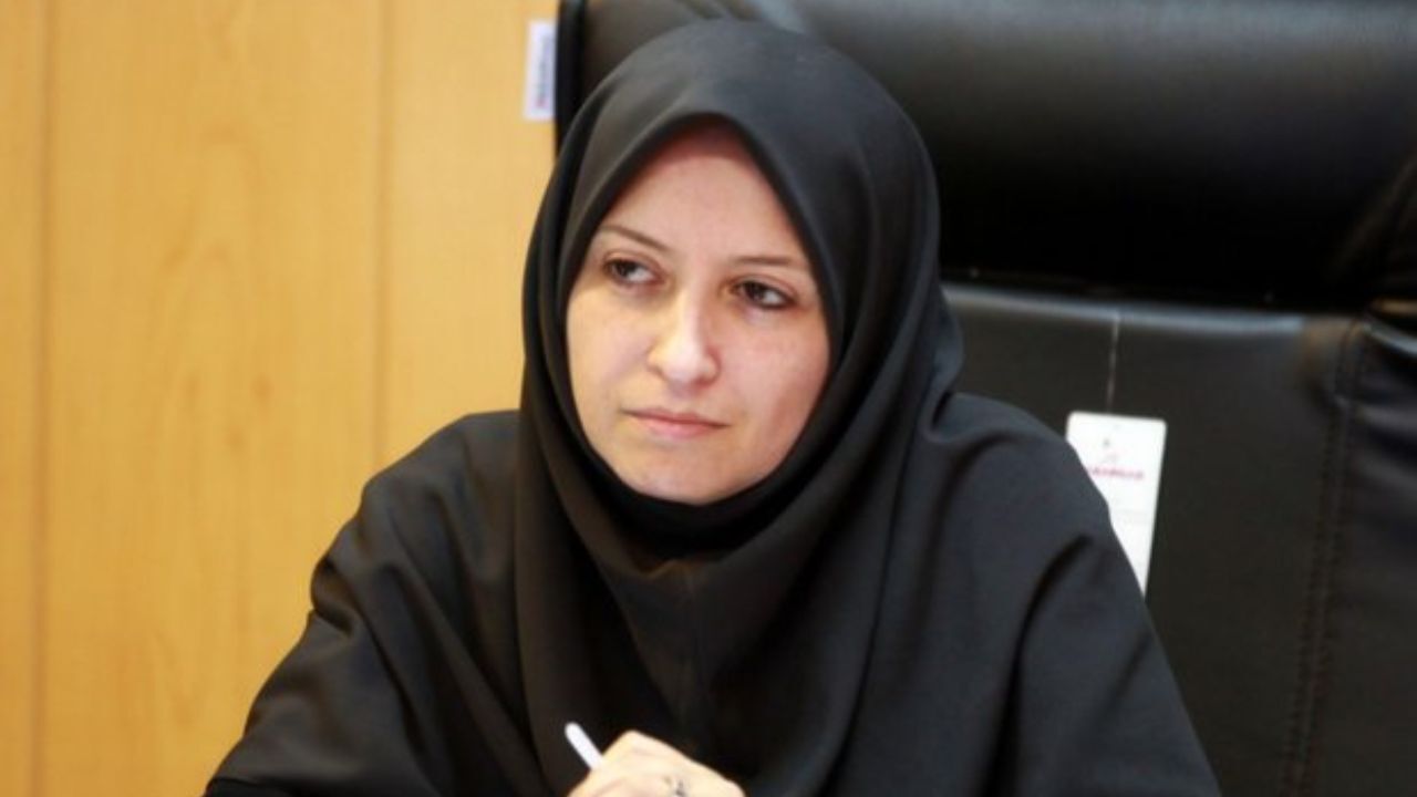 شهرداری سگ‌های جمع‌آوری شده را کجا نگهداری کند؟