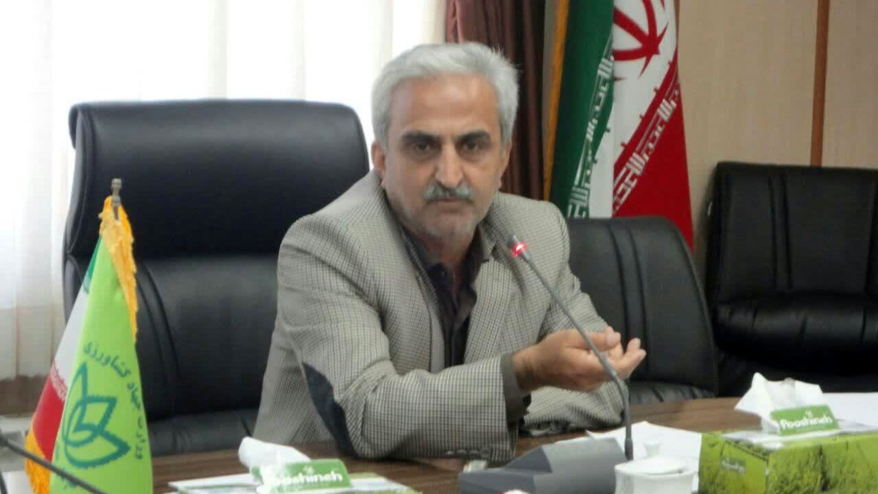 خرید تضمینی برگ سبز چای پایان یافت