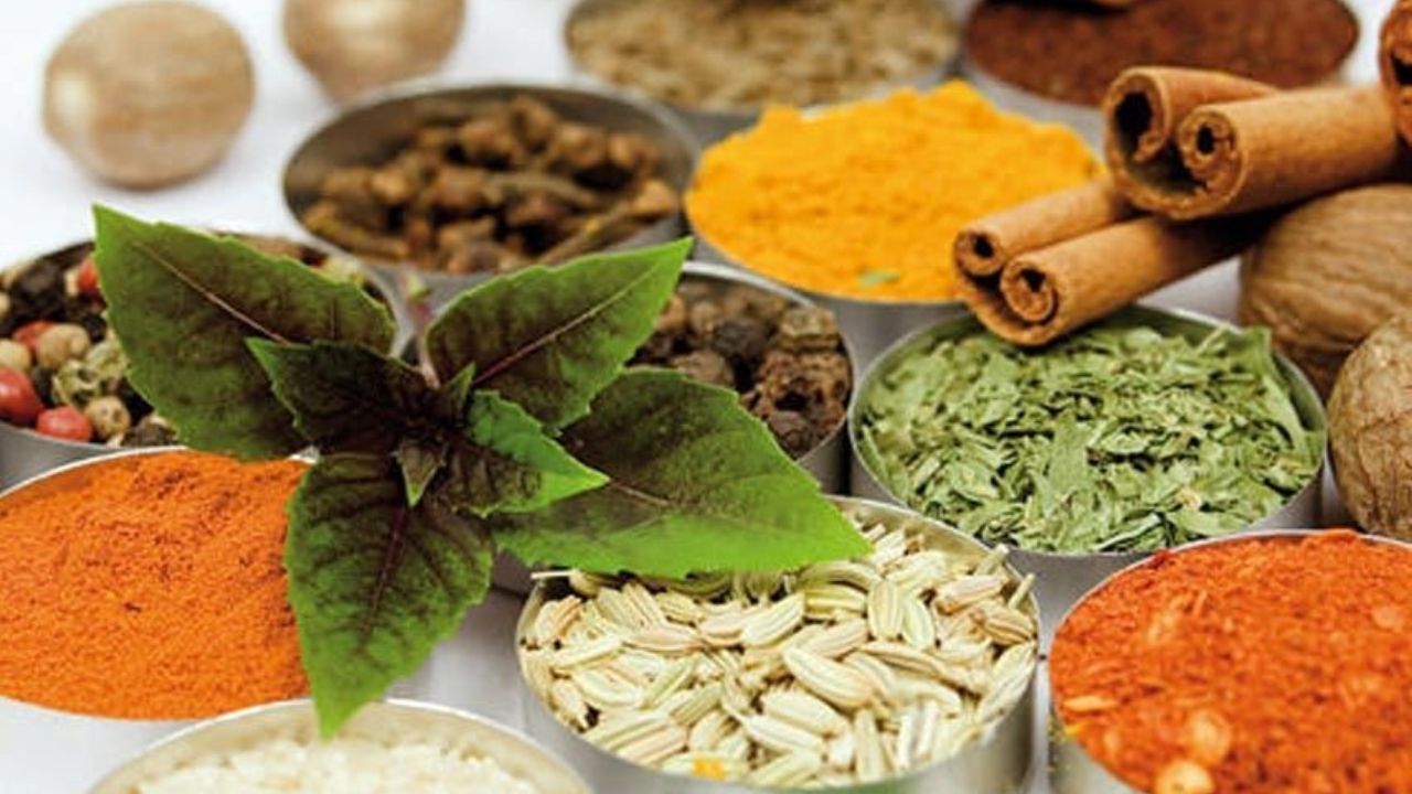 ویزیت متخصصان طب سنتی بیمه شد