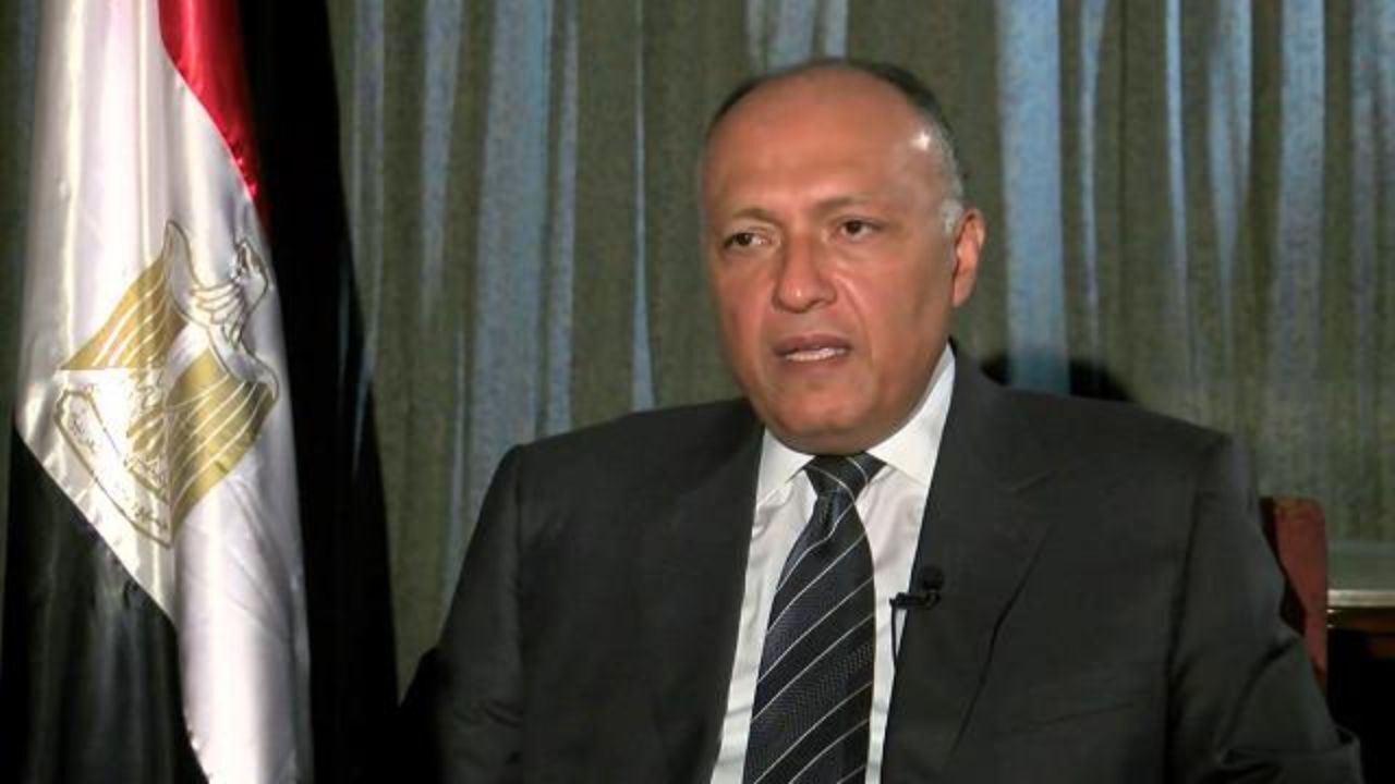 شکری: صحبت‌های اردوغان درباره مصر «مضحک» است