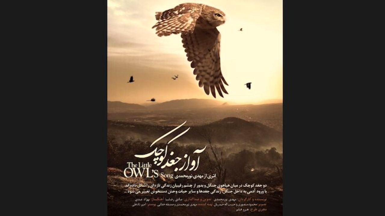 «آواز جغد کوچک» در کانون فیلم خانه سینما نمایش داده می‌شود