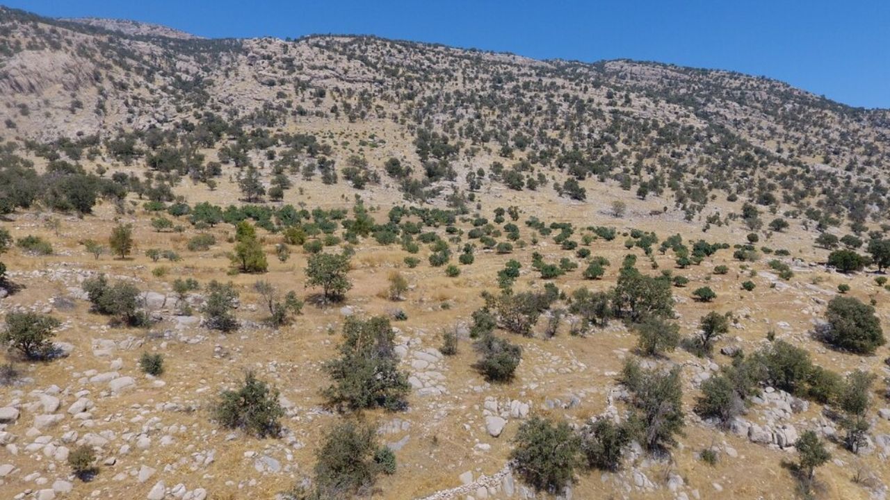 کوه‌خواری در کوه «سرک» + ویدئو