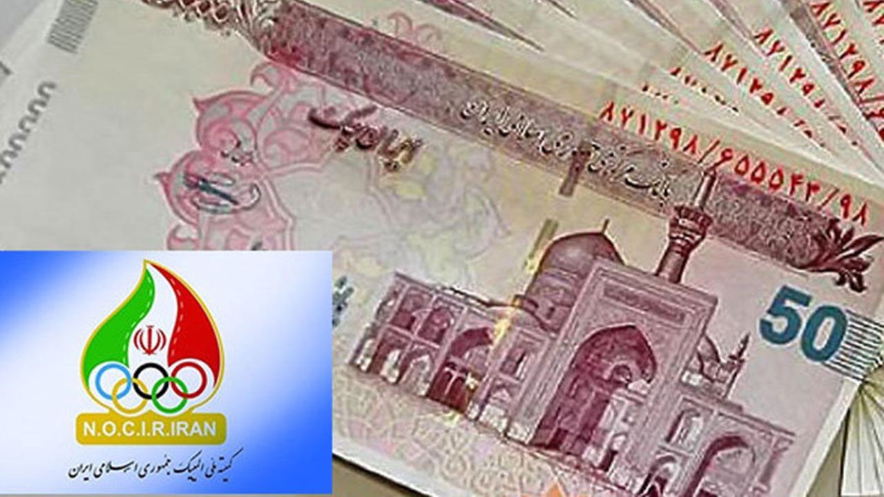 کمک 2 میلیارد تومانی کمیته ملی المپیک به 11 فدراسیون المپیکی