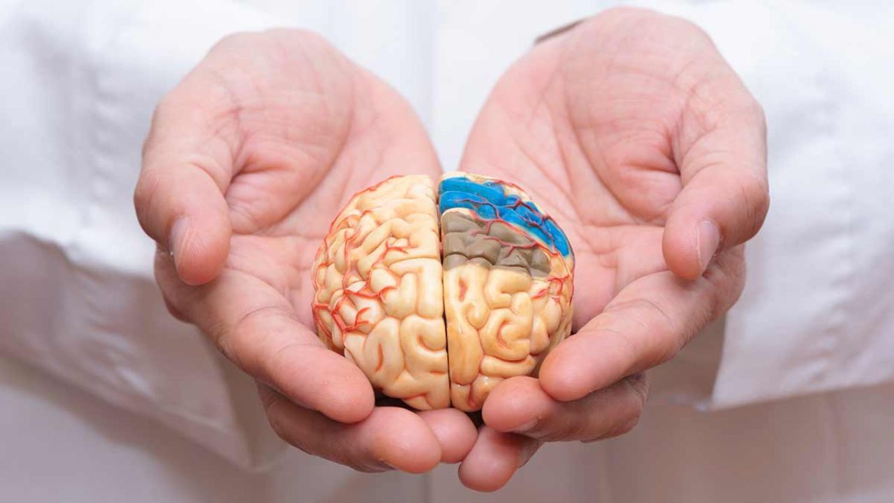 سرب خطر ابتلا به زوال عقل را افزایش می‌دهد