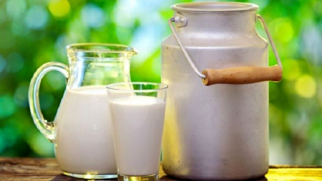 پرونده تخلف برخی شرکت‌های لبنی به سازمان تعزیرات ارسال شد