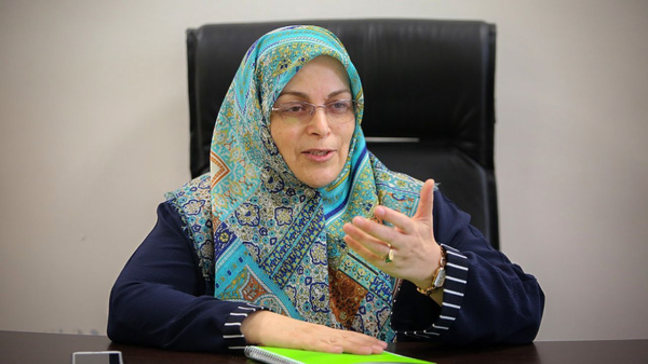 انتخابات آزاد شکاف بین حاکمیت و مردم را ترمیم خواهد کرد/ با رفتار شورای نگهبان امکان مشارکت فعال از ما گرفته شد