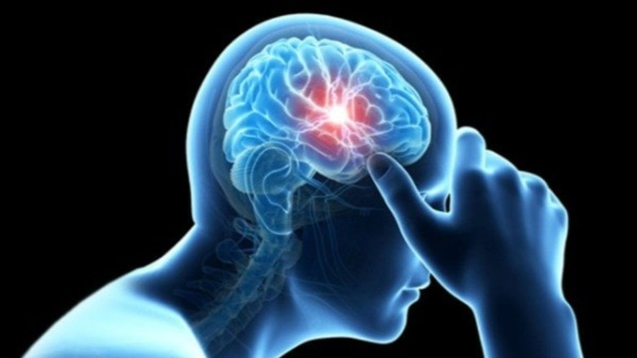ابداع یک مدل رایانه‌ای برای بررسی آسیب‌های مغز پس از سکته