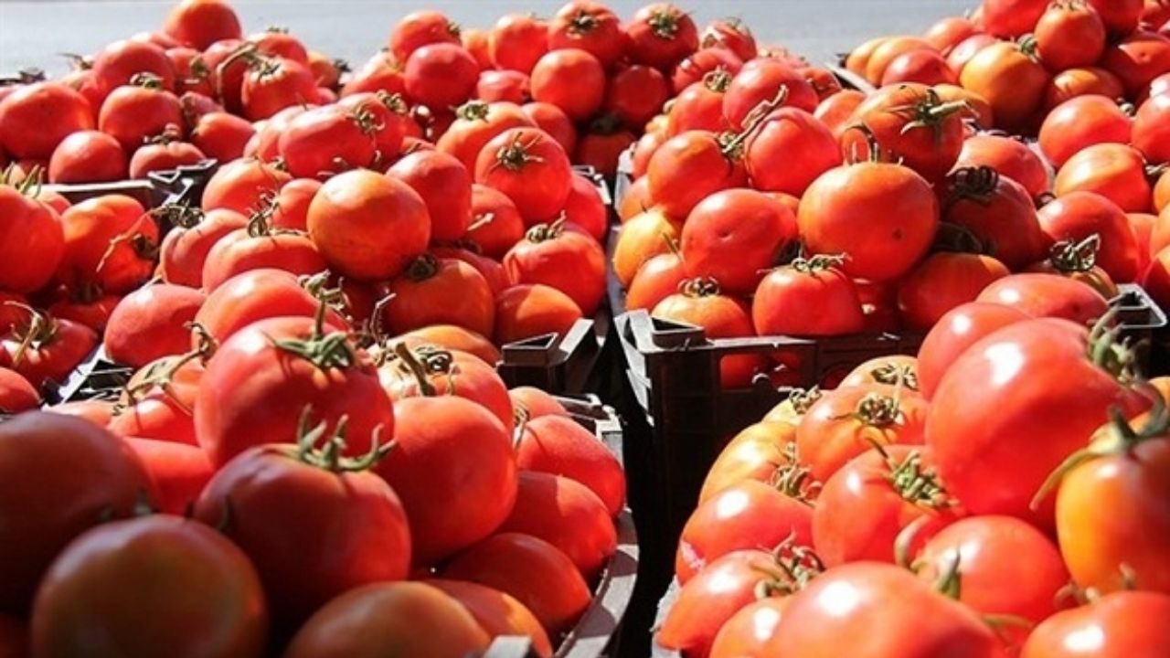 گوجه‌فرنگی و پیاز؛ دارای بیش‌ترین کاهش و افزایش قیمت