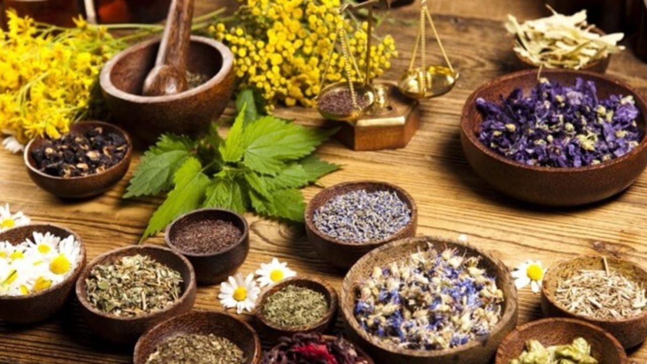 ارزآوری 450 میلیون دلاری صادرات گیاهان دارویی در 9 ماهه سال جاری