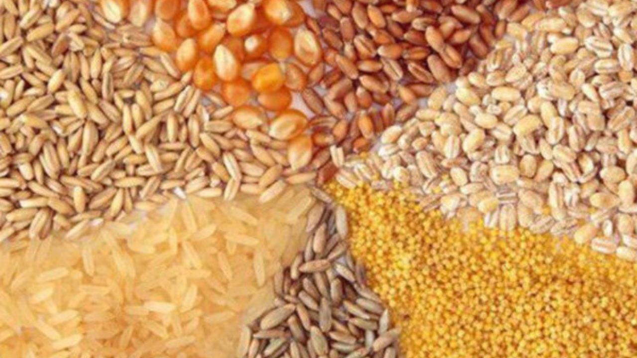 توزیع سیستمی نهاده‌های دامی بدون رفع نواقص، چالش برانگیز است