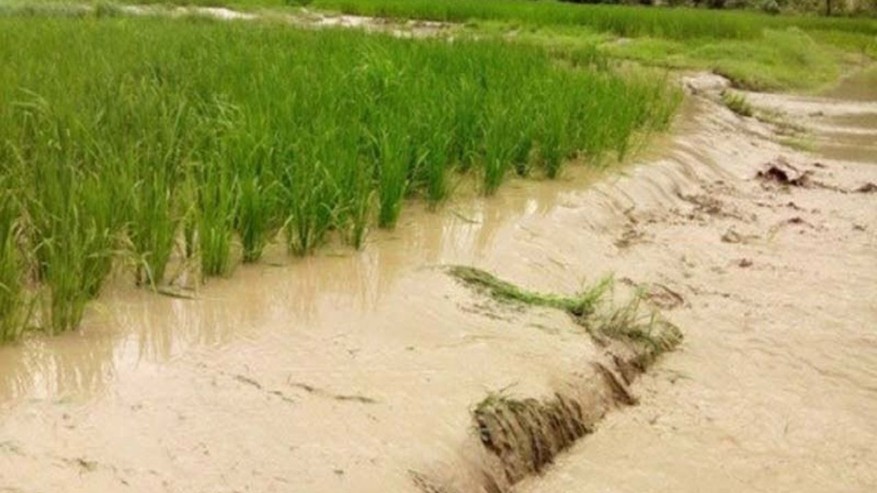 هشدار وزارت جهاد درباره احتمال وقوع سیلاب