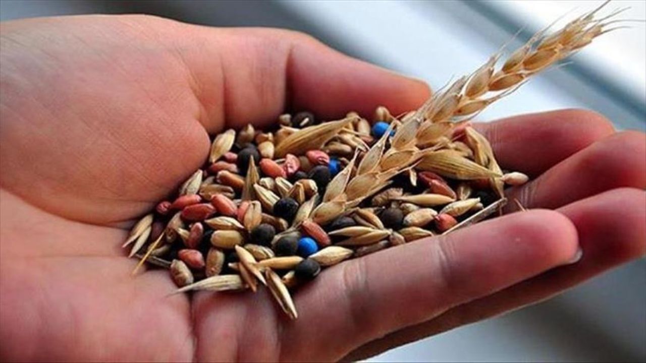 بذر و گیاهان همراه مسافران خروجی کنترل می‌شود