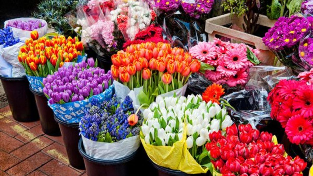 کاهش 50 درصدی قیمت گل در نوروز