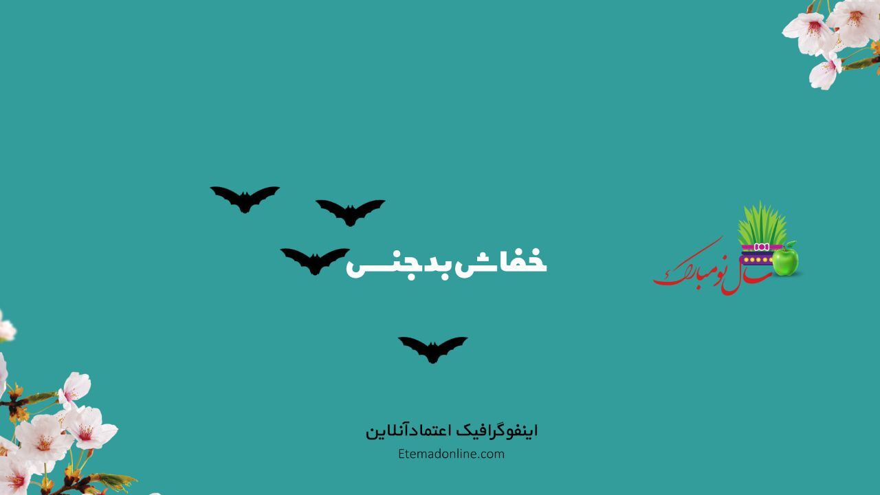 تیترمصور| چه بیماری‌هایی از خفاش به انسان منتقل شده‌اند؟