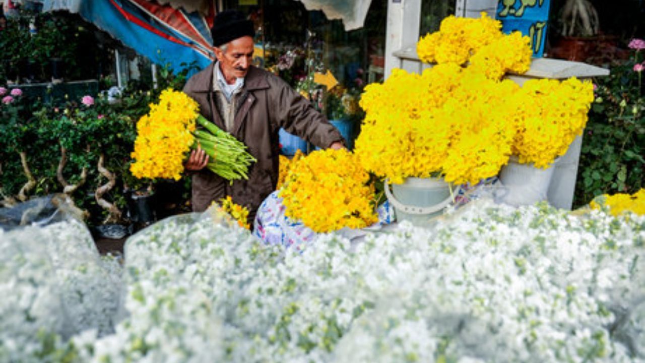 کرونا با بازار گل وگیاه چه کرد؟