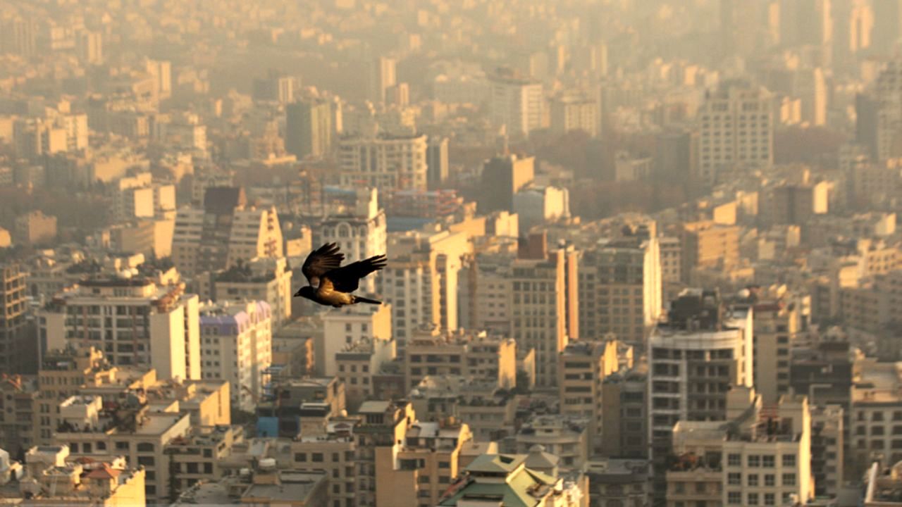 هوای امروز تهران در محدوده ناسالم برای گروه‌های حساس