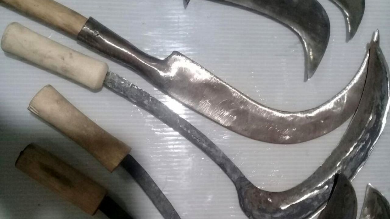 داس کشاورزی چگونه نماد قتل و مرگ شد+عکس