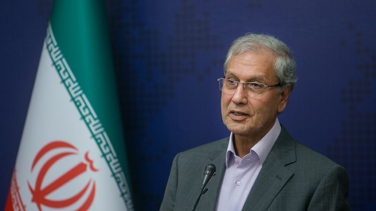 اظهارات سخنگوی دولت از تعیین‌تکلیف تابعیت فرزندان + ویدئو
