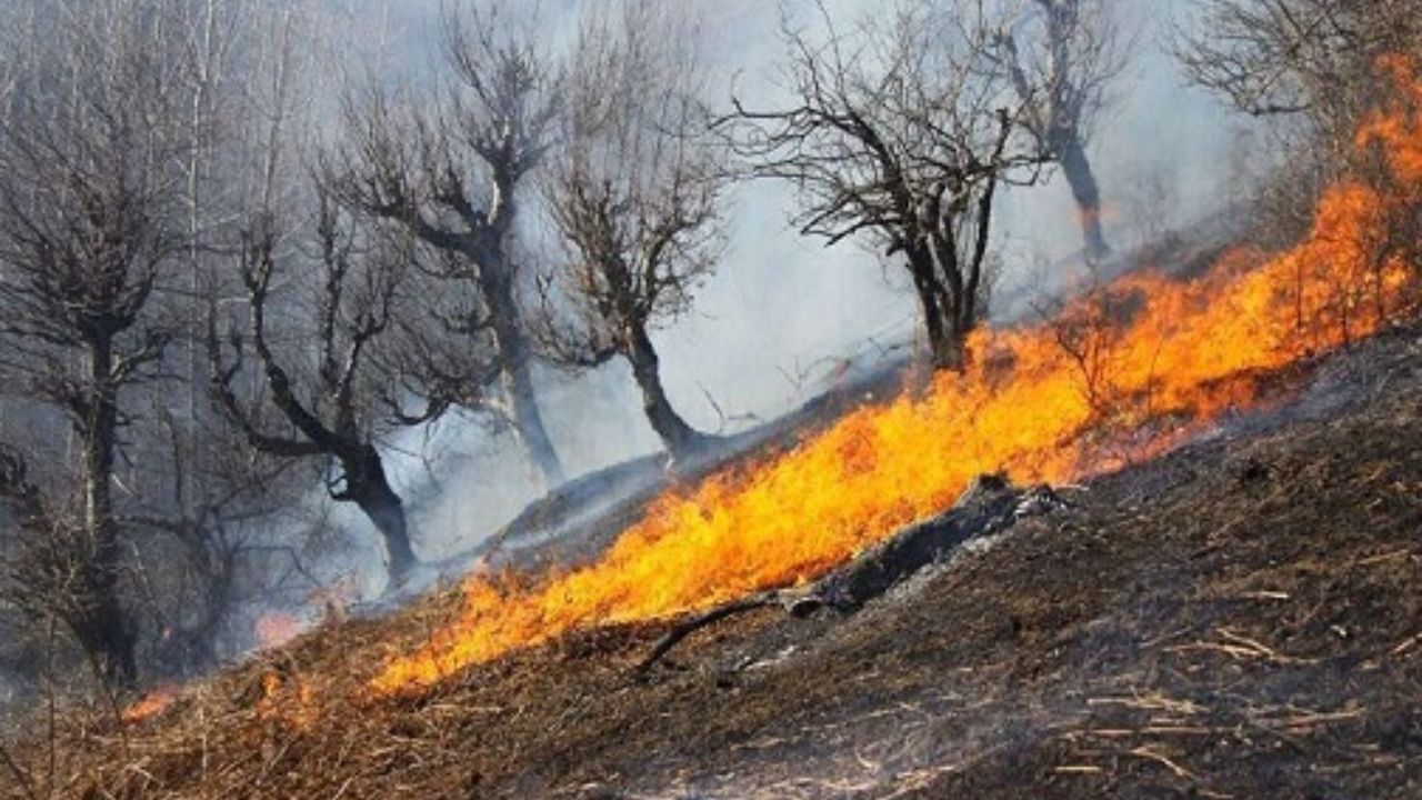 آتش «خائیز» بالاخره کنترل شد