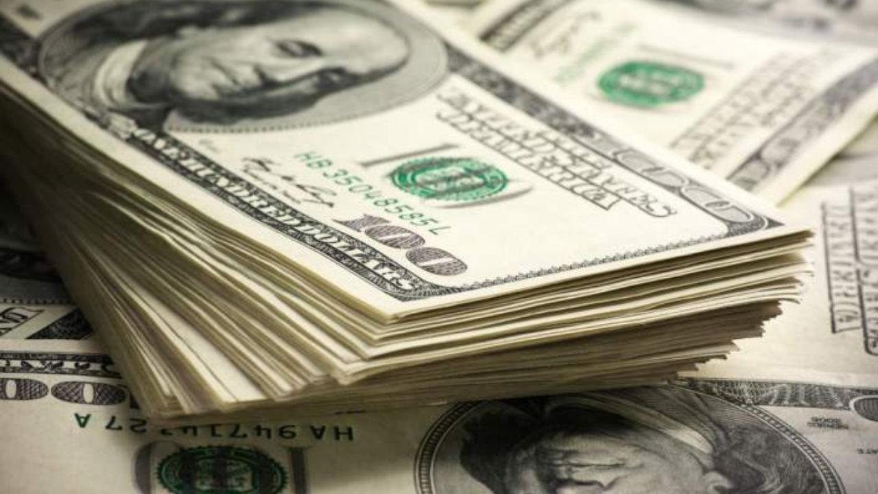 ارز 4200 تومانی بسیار سخت به واردات نهاده‌های دام تخصیص می‌یابد/رسوب 1.5 میلیون تن نهاده در بنادر