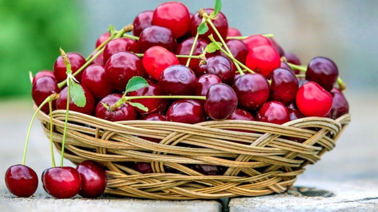 میوه ارزان شد؛ قیمت هر کیلو گیلاس 25 هزار تومان