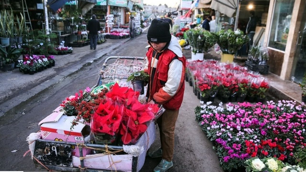 بازار گل حال و روز خوبی ندارد
