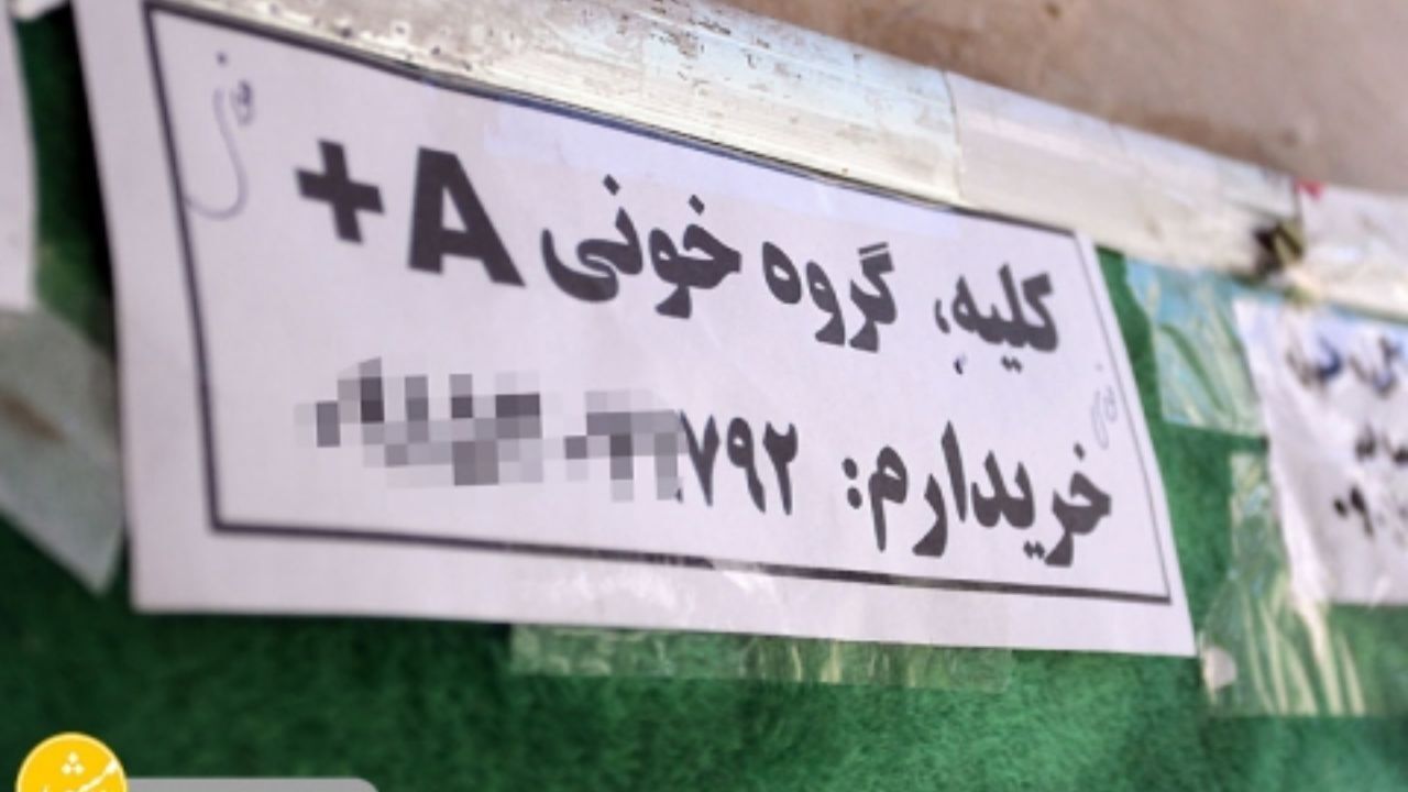 اینجا همه‌چیز خرید و فروش می‌شود