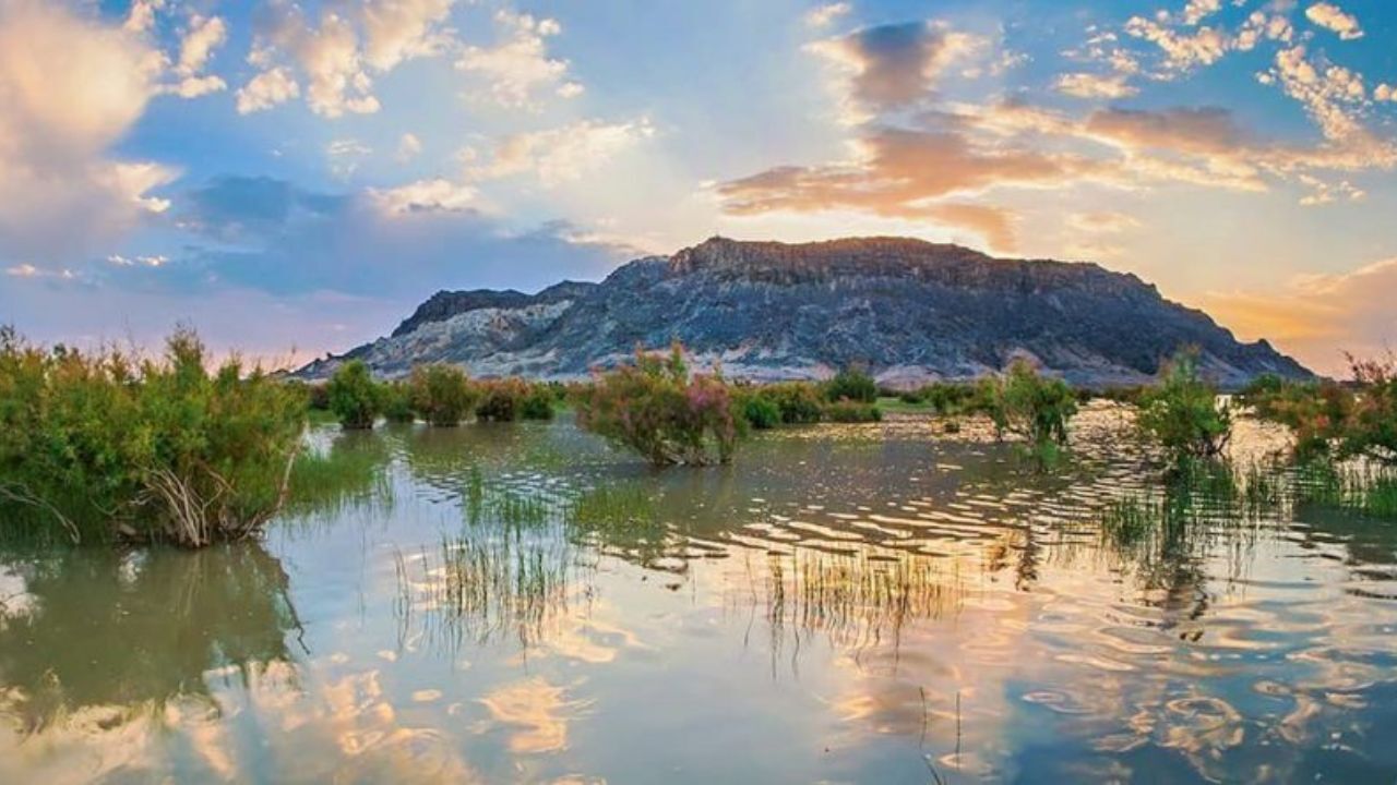 10 میلیون یورو اعتبار برای پروژه‌ی احیای تالاب هامون