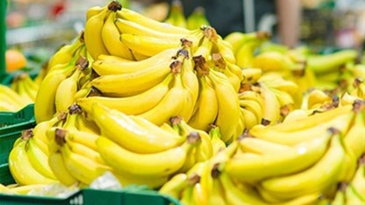 ظرف 7 سال می‌توانیم به خودکفایی در تولید موز برسیم