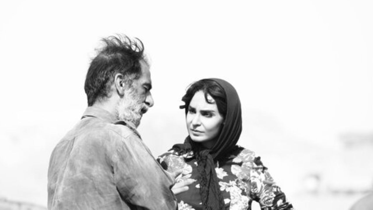 «دشت خاموش» راهی وایادولید اسپانیا می‌شود