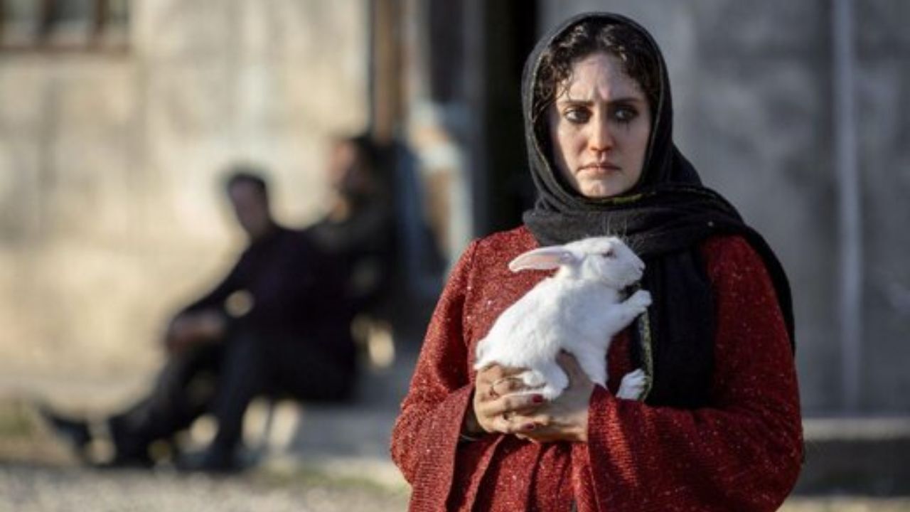 رونمایی از پوستر بین‌المللی «تی‌تی» با تصویری از الناز شاکردوست + تصویر