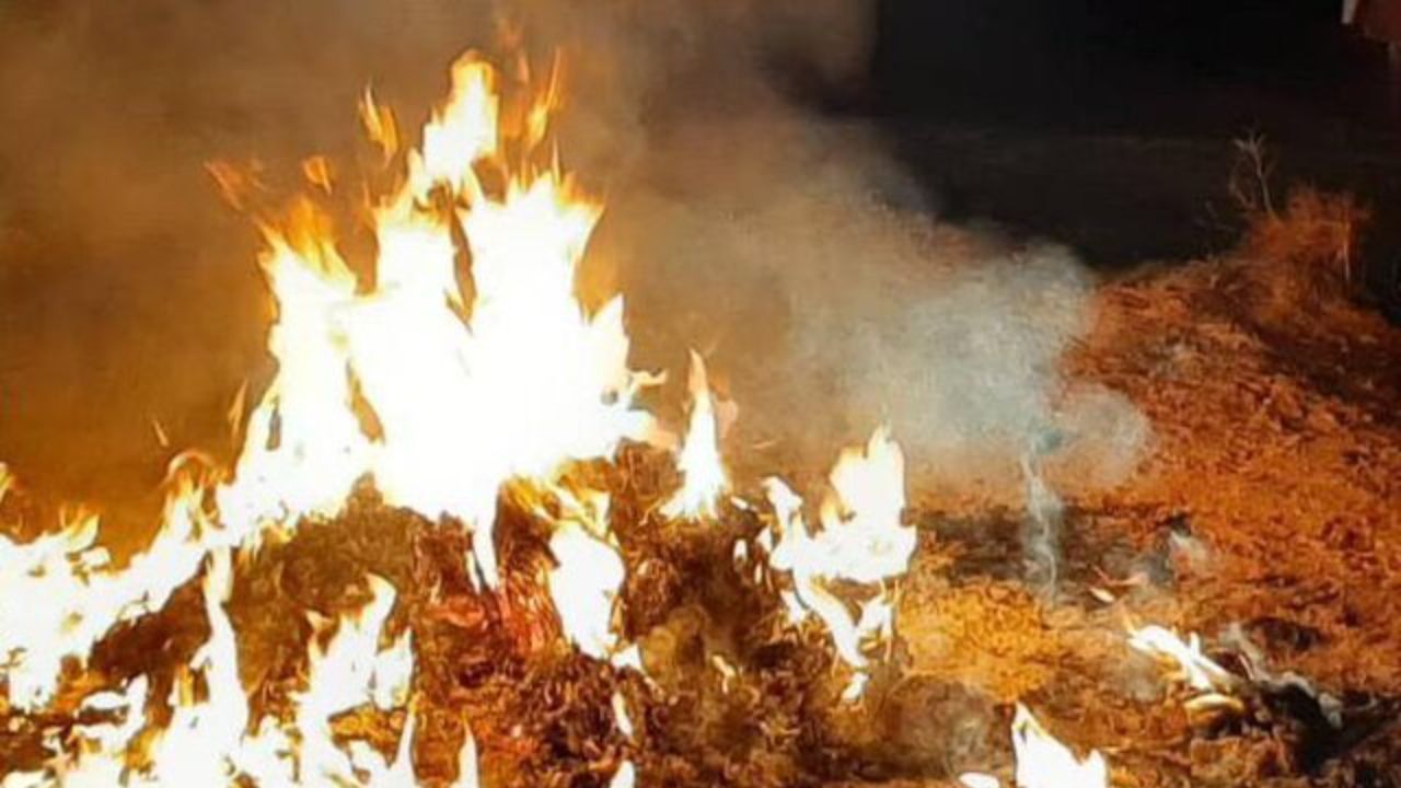 نقش موثر پسماندسوزی در تشدید آلودگی هوای تهران طی روزهای اخیر