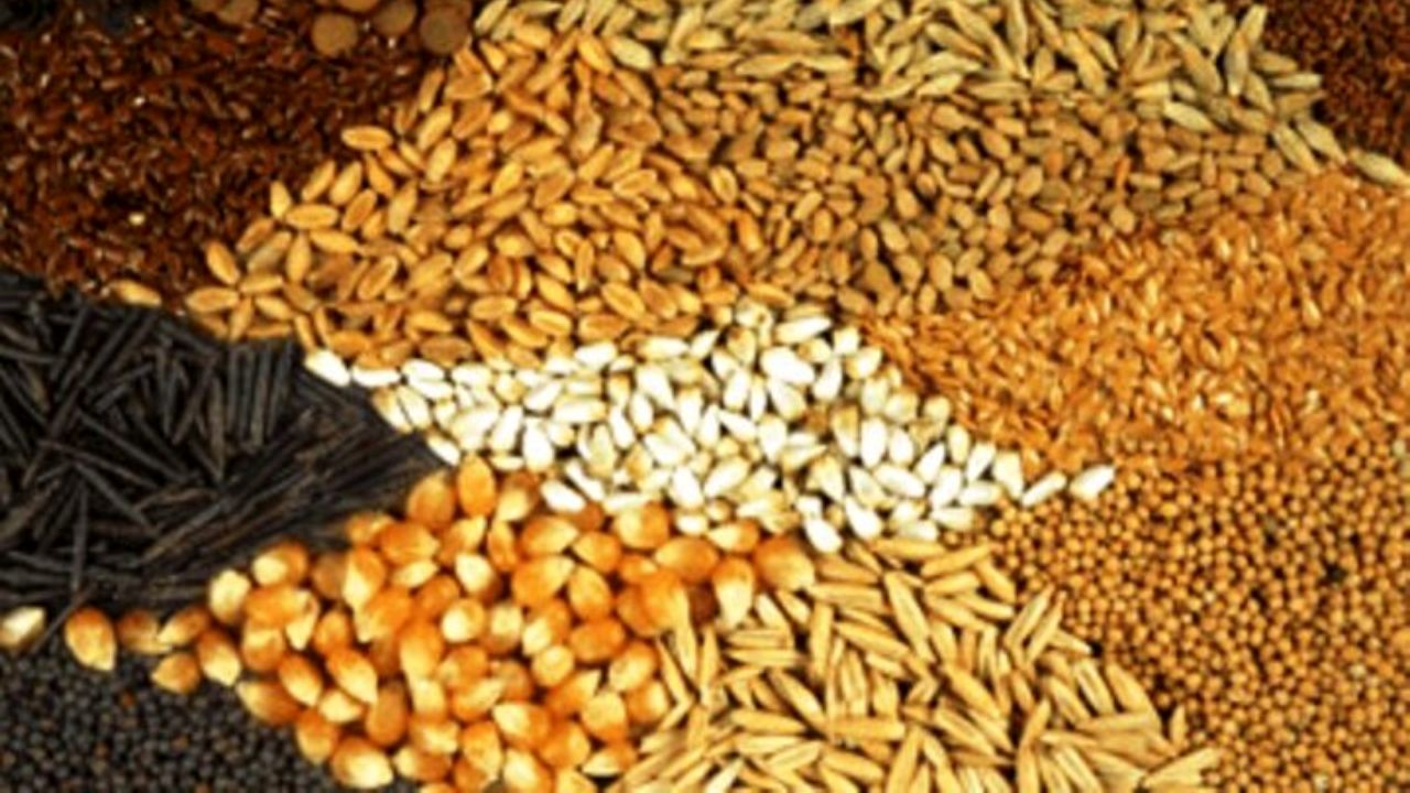 پاسخگو کیست؟