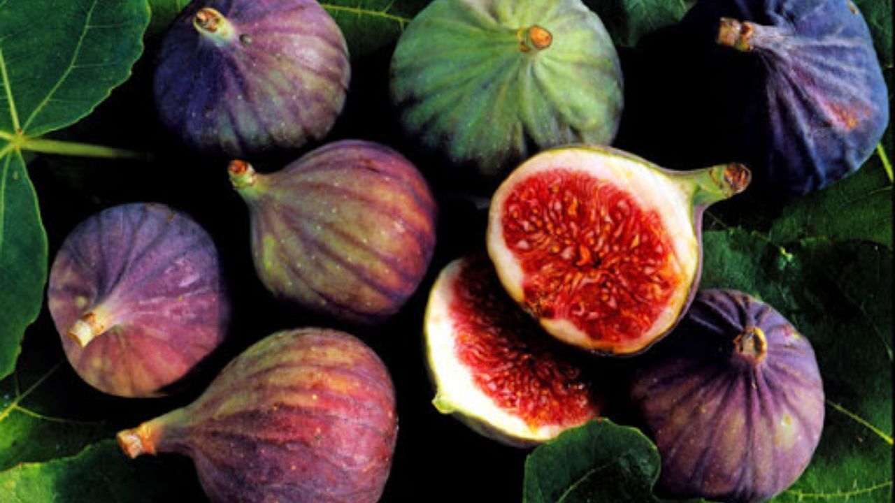 صادرات 500 میلیون دلار میوه‌های نیمه گرمسیری