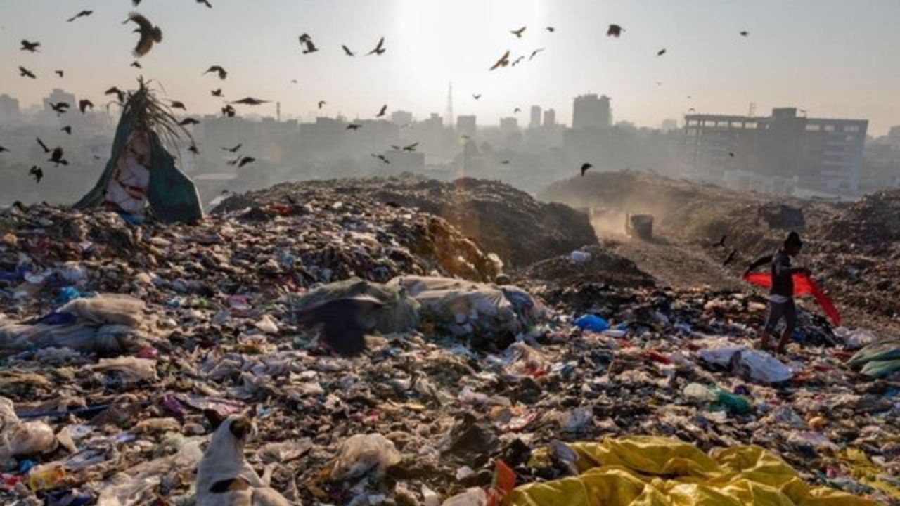 تهرانی‌ها چقدر پسماند خطرناک خانگی تولید می‌کنند؟