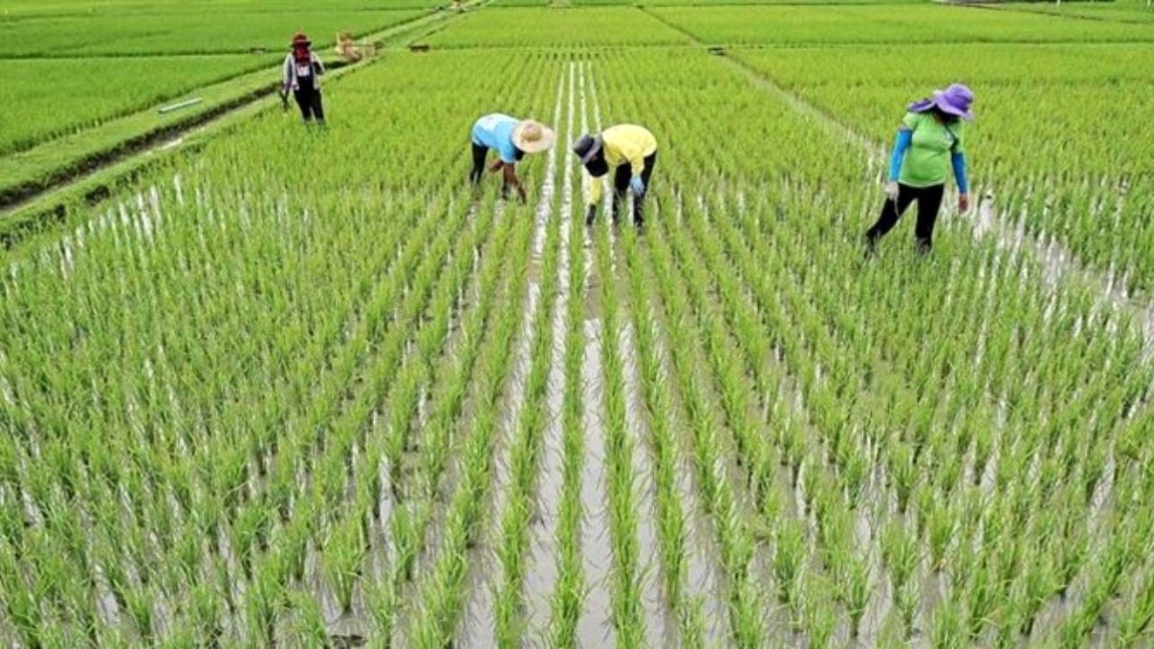 آسیب یک مصوبه مجلس بر بدنه منابع آبی کم‌شمار کشور