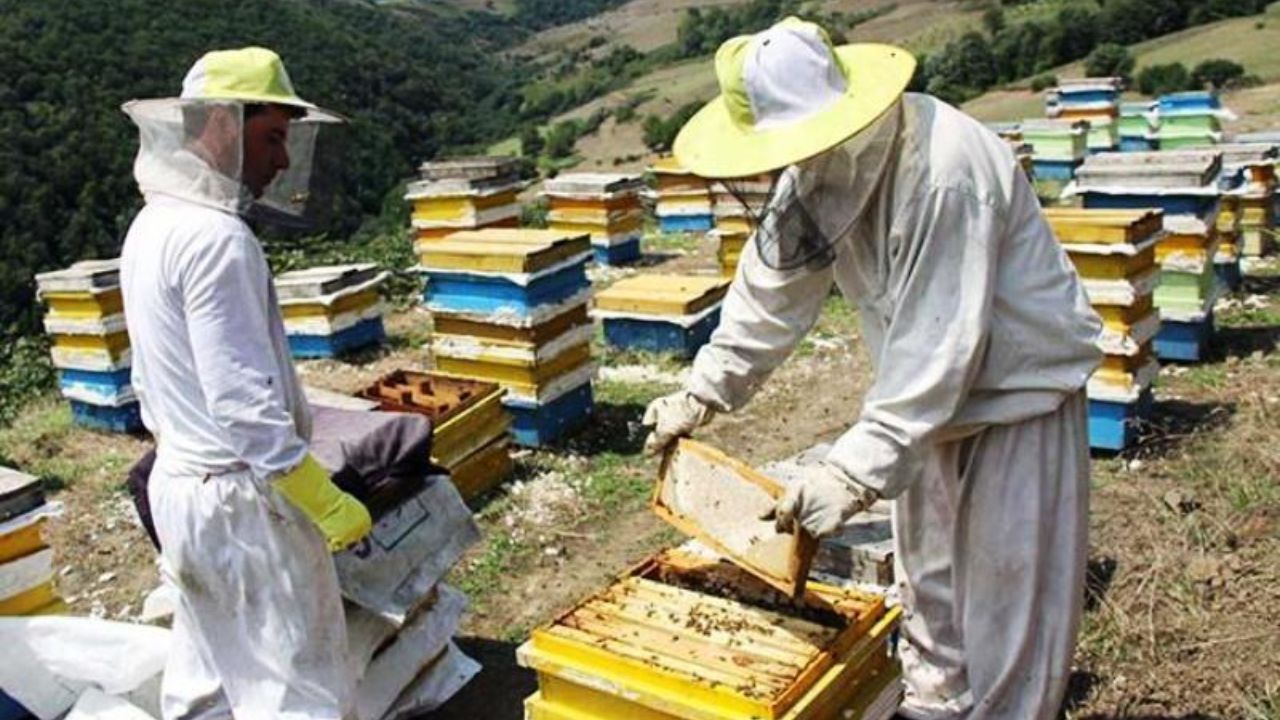 ایجاد 263 هزار شغل پایدار با وام های اشتغال روستایی
