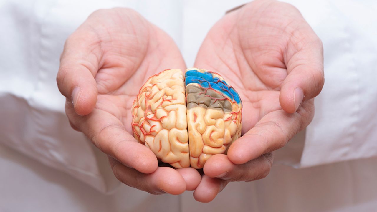 ممکن است چاقی بر وخیم شدن بیماری آلزایمر تاثیر بگذارد