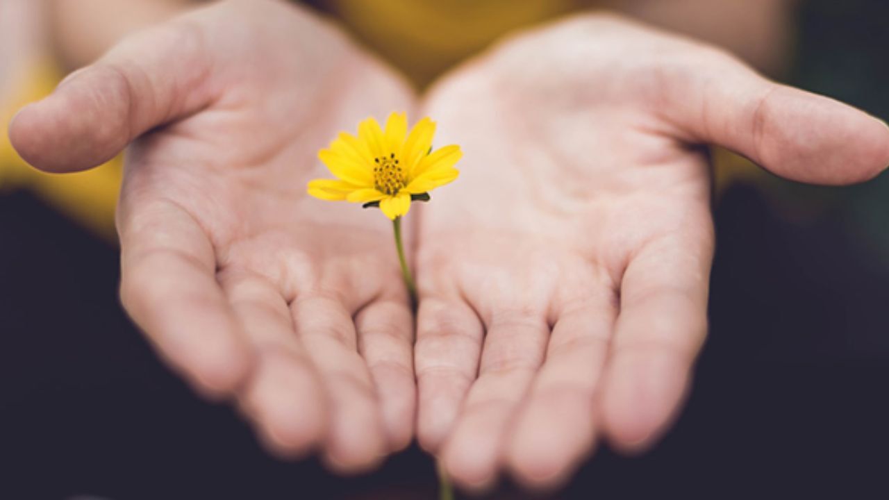 مادربزرگ، نوه خطاکار را بخشید