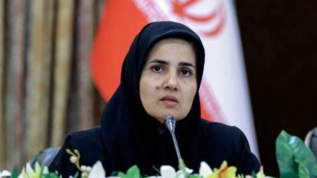 نارسایی‌های قانون همه پرسی باید رفع شود/ اصلاحات انجام شده در قانون همه پرسی را به دولت ارجاع دادیم/ مسیر طی کردن این لایحه طولانی است/ رفراندوم نباید محل دعوا باشد