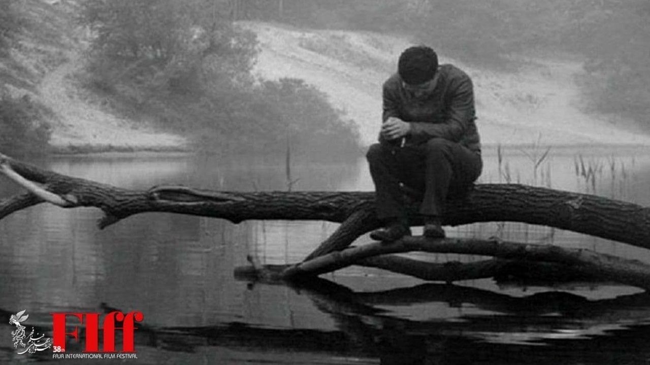 «ما اینجاییم، ما نزدیکیم» در بخش مسابقه جشنواره جهانی فیلم فجر